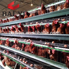 Cages de batterie de volaille de poulet de couche de 3 rangées pour la ferme nigériane